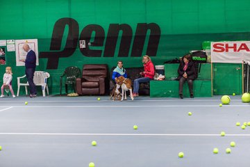 Meet and Greet am 10.12.16 256 - Meet and Greet mit Carina Witthoeft
